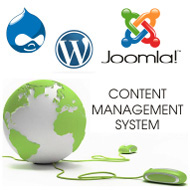 CMS Based Websites Services