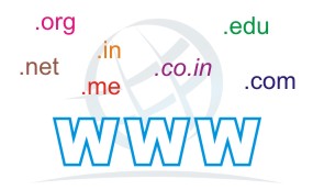 Domain Name Registration